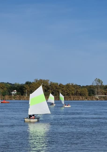 Optimist sur l'Adour
